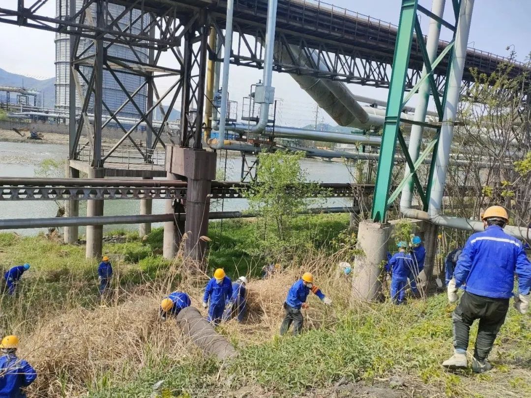 【花园工厂】北营铸管公司组织开展细河河岸环境清理活动